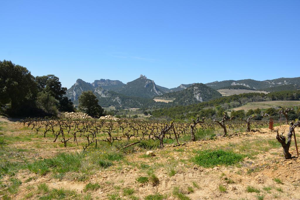 Mas De Carabelle Bed and Breakfast La Roque-Alric Εξωτερικό φωτογραφία