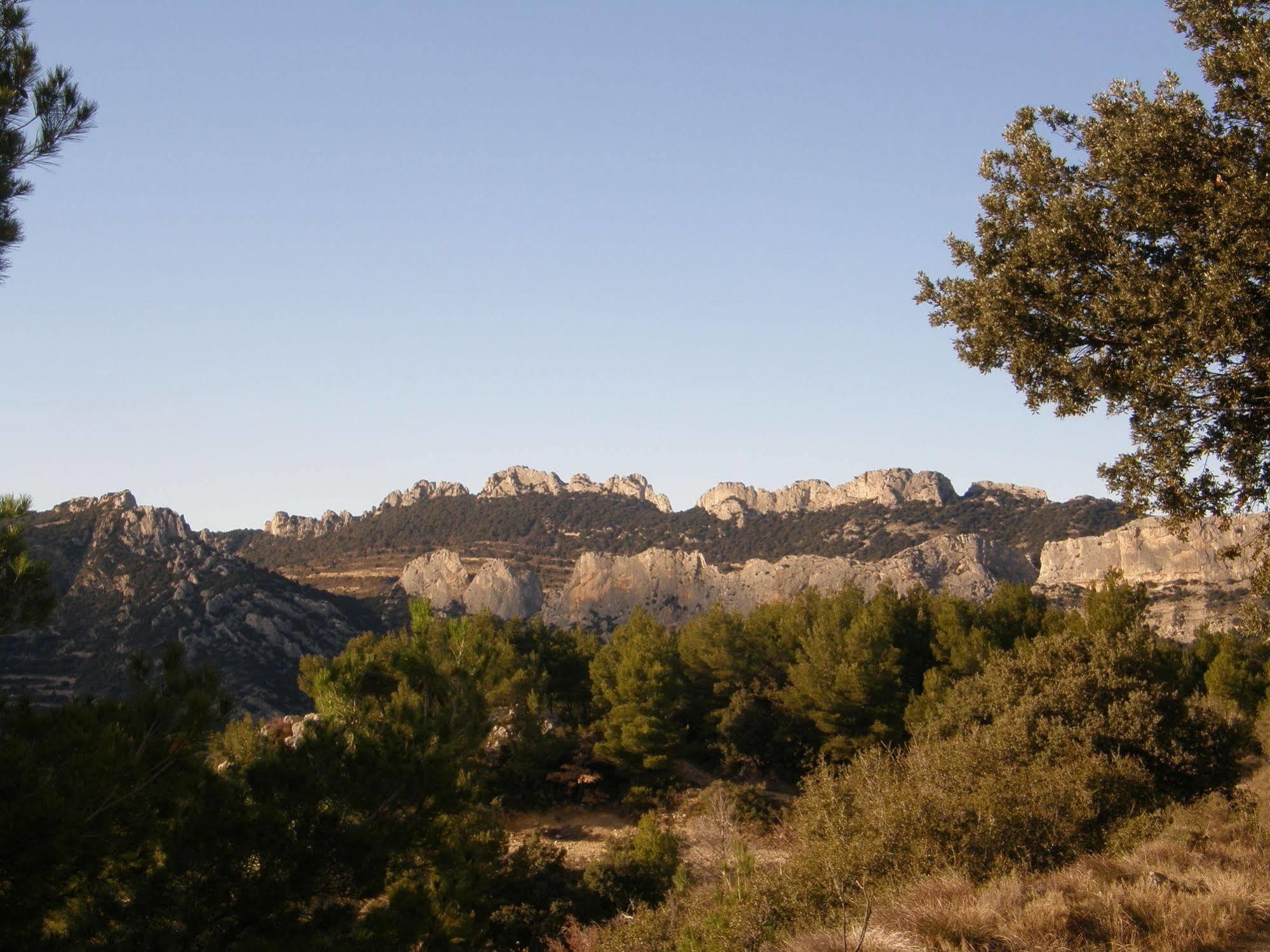 Mas De Carabelle Bed and Breakfast La Roque-Alric Εξωτερικό φωτογραφία